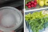 Cho một bát nước vào tủ lạnh, hành động tưởng vô nghĩa nhưng sẽ giúp gia chủ tiết kiệm tiền