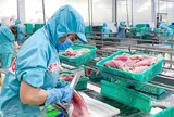 Doanh nghiệp thủy sản bứt phá sau giai đoạn trầm lắng