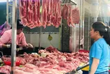 Giá thịt lợn đẩy CPI tháng 1 tăng
