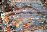 Cận Tết, khô cá "biết leo cây" có giá 600.000 đồng/kg
