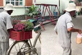 Xúc động clip cụ ông bán ve chai mang hoa Tết đến tặng ân nhân