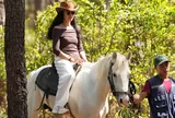Trải nghiệm cưỡi ngựa giữa rừng già Măng Đen