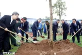 Tổng Bí thư Tô Lâm dự Lễ phát động "Tết trồng cây đời đời nhớ ơn Bác Hồ"