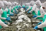Doanh nghiệp xuất khẩu thủy sản ứng phó với căng thẳng tại Trung Đông