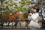 Ăn chơi cho hết tháng Giêng, mùa săn hoa đã đến khiến cả Hà Nội đứng ngồi không yên
