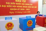 Cử tri đi bầu cử cần lưu ý những gì?