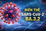 Biến thể Covid-19 “Ve sầu” xuất hiện tại hơn 20 quốc gia trên thế giới: CDC Hà Nội khuyến cáo
