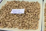 Giá cà phê hôm nay 11-4: Arabica bật tăng, Việt Nam vượt Brazil về xuất khẩu