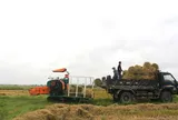 Cách giúp nông dân không phải vất vả xử lý rơm rạ mà vẫn có thu nhập