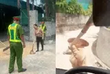 Công an làm việc với người phụ nữ phơi lúa giữa đường, cầm bồ cào đánh tài xế trong video gây xôn xao
