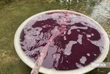 Vụ nước giếng khoan đổi màu tím, hôi tanh: Xử phạt công ty giặt là 1,5 tỷ đồng