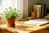 Tại sao mỗi bàn học nên có một chậu nhất mạt hương?