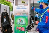 Xe đời cũ đổ xăng E10 có hại máy không, cần lưu ý gì?