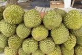 Giá sầu riêng Ri6 bật tăng trở lại