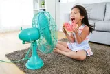 Mẹo làm mát nhà thông minh chỉ bằng quạt điện trong ngày 'nắng điên đảo'