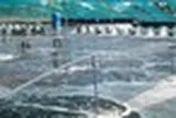 Không phải đất hiếm hay sầu riêng, một mỏ vàng của Việt Nam vừa mang về 1,5 tỷ USD: Mỹ, Trung Quốc đều là ‘khách ruột’, nước ta xuất khẩu đứng thứ 3 thế giới