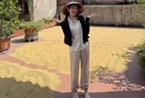 Tiểu thư Doãn Hải My được khen đẹp người đẹp nết khi về quê chồng phơi thóc giữa trưa nắng hè