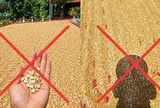Cần xử nghiêm người đăng ảnh AI gây hoảng sợ trong nắng nóng cực độ ở miền Bắc