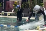 Resort Hội An thả khối đá khổng lồ xuống bể bơi, khách Tây giải nhiệt cấp tốc: “Sao giống cách mẹ tôi làm mát bát canh rau luộc vậy?”