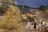 Hà Nội: Sau nắng nóng kỷ lục, mưa to gió lớn giật tung cây xanh, ôtô bị đè bẹp giữa phố