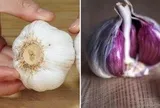 Tỏi vỏ tím hay tỏi vỏ trắng tốt hơn, Tỏi vỏ tím, tỏi vỏ trắng