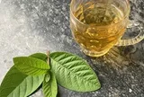 Cơ thể thay đổi thế nào nếu uống lá ổi liên tục vài tuần?