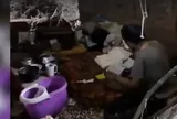 Người đàn ông bí ẩn sống trong hang động nhiều năm, ngày ngày chăm chú làm một việc