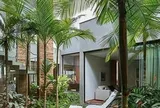 Vì sao người xưa dạy trồng "cau trước, chuối sau"?