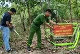 Chạm mặt "vật thể lạ" trong rẫy, người dân lập tức trình báo
