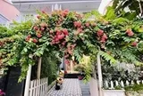 Nữ diễn viên cả đời đóng vai phản diện: U50 không muốn lấy chồng, một mình nuôi con trong biệt thự 4 tầng ở Sài thành