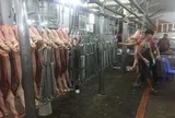 Giá heo hơi hôm nay, 12-6: Giảm liên tục ở chợ đầu mối