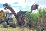 Đường lậu, không rõ nguồn gốc vẫn tràn lan