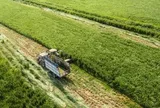 Vinamilk khẳng định vị thế thương hiệu sữa Việt