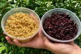 Ăn cơm rượu nếp, thổi nồng độ cồn có lên không?
