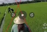 Vĩnh Long: Làm rõ vụ phun thuốc diệt cỏ vào lực lượng công an