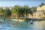 Phục hồi điều tra vụ bé 11 tuổi người Nhật tử vong ở hồ bơi tại resort