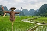 Vì sao bù nhìn trên đồng ruộng đánh lừa được các loài chim thông minh?