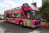 Xe buýt 2 tầng màu hồng sắp lăn bánh ở TP HCM