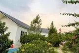 Nam nghệ sĩ Việt sở hữu nhà vườn rộng 1.000m²: Nhìn đâu cũng thấy hoa, góc nào cũng chill như tranh vẽ