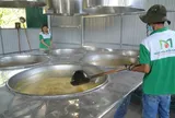 Giữ cây mía giữa lúc nghề truyền thống mai một, đưa đặc sản Quảng Ngãi xuất ngoại