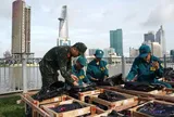 Hàng nghìn quả pháo hoa sẵn sàng toả sáng trên bầu trời Tp.HCM tối 2/7