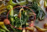 Tưởng là mộc nhĩ, người phụ nữ bàng hoàng khi nhìn rõ thứ nổi trong bát bún: Chủ quán xử lý gây tranh cãi