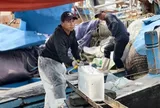 Giá dầu giảm, ngư dân Quảng Ngãi mạnh dạn vươn khơi
