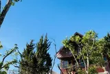 Nhà gỗ 2 tầng của MC Đại Nghĩa