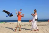 Phát hiện "con vật khổng lồ" trên bãi biển Sầm Sơn đúng dịp 2/9, hàng nghìn du khách chú ý