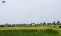 Nghệ An: Nhanh chóng tháo gỡ “nút thắt” dự án khu công nghiệp hơn 1.300 tỷ đồng