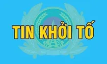 Khởi tố Giám đốc, viên chức Ban Quản lý rừng; Giám đốc, Phó Giám đốc, chủ sở hữu doanh nghiệp