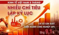 Kinh tế Việt Nam 5 tháng: Nhiều chỉ tiêu lập kỷ lục
