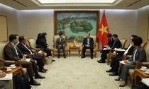 Gặp lãnh đạo tập đoàn quyết tâm làm dự án hơn 2 tỷ USD tại VN, Phó Thủ tướng yêu cầu làm rõ 3 điều gì?