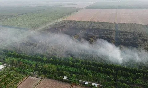 Cà Mau: Hoàn toàn khống chế vụ cháy 40ha rừng tràm